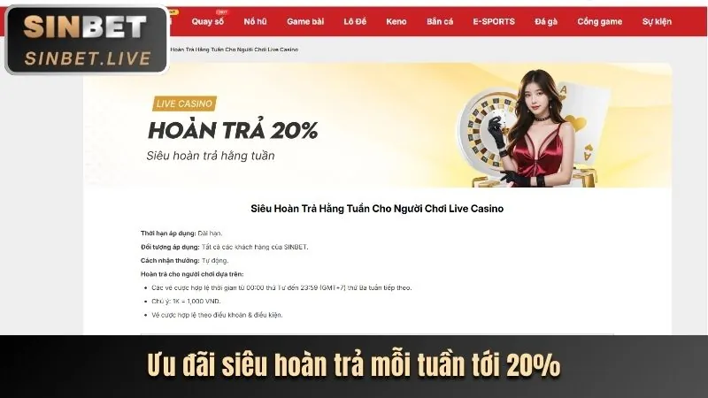 Hoàn trả 8888bet